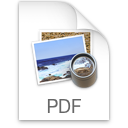  icon pdf 